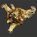 Intricate Shell Shaped Sculpture Carving With Yellow Brown Striped Wavy Texture