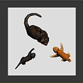 Three Cat Models in Different Colors Standing on White Board Surface