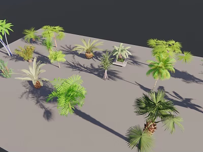 Different Types Of Green Trees Including Palm And Tropical Varieties For Outdoor Use 3d model