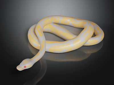 Striking Yellow and White Snake with Red Eyes Coiled on Black Background 3d model