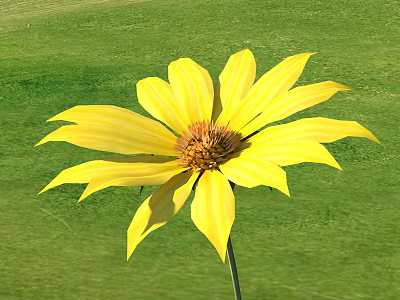 Vibrant Yellow Flower With Radiant Petals And Center On Green Grass 3d model