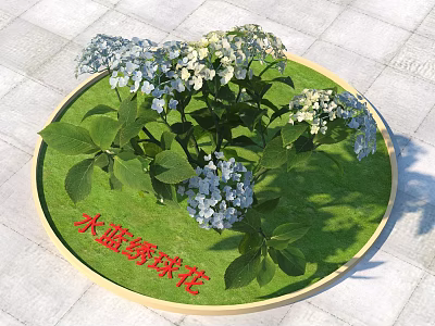 Blue Hydrangea Flowers With Green Leaves In Circular Tray On Tile Surface 3d model