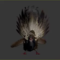 Modern pheasant 3d model
