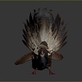 Modern pheasant pheasant 3d model