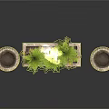 Bonsai Potted Plants with Stone Carved Planters Rectangular and Circular Shapes with Green Ferns