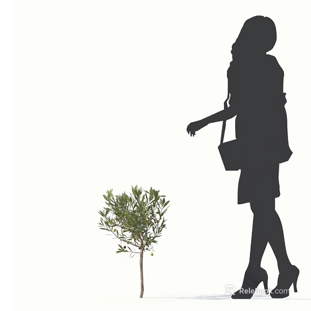 Silhouette Of A Woman Walking Near Young Olive Tree With Green Leaves 3d model 
