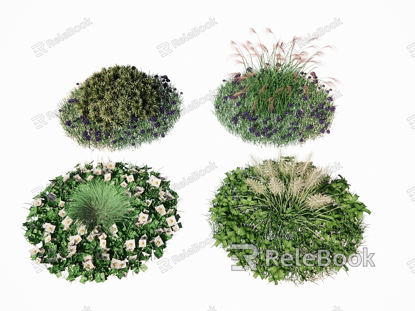 Lawn Turf Flower and Grass Landscape Plant Landscape Grass Ornamental Grass Wild Flower Weed Sage Pennisetum model