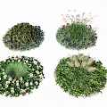 Various Ground Cover Plant Varieties for Garden Landscape Design and Outdoor Use
