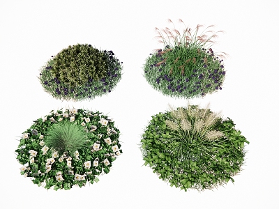 Lawn Turf Flower and Grass Landscape Plant Landscape Grass Ornamental Grass Wild Flower Weed Sage Pennisetum 3d model