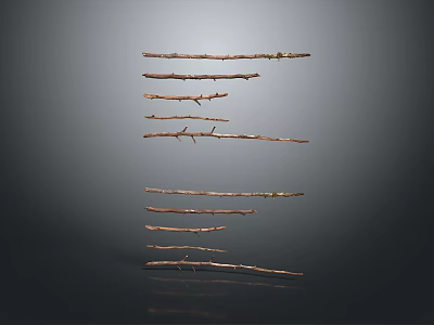 Neatly Arranged Dried Plant Branches With Natural Brown Color Against Gray Background 3d model