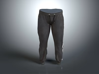 Dark Gray Drawstring Jogger Pants With Side Stripes And Elastic Waistband 3d model