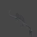 Spinosaurus Dinosaur Skeleton With Prominent Spine And Detailed Bone Structure