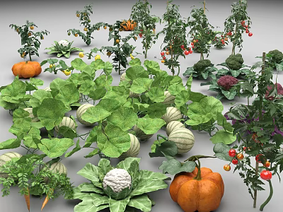 Modern Vegetables 3d model Modern Vegetables 3d model