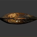 Detailed Brown Shell Structure Resembling Organ With Hair Like Texture Features