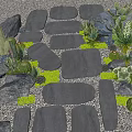 Garden Decor Path With Stone Stepping Stones Succulents Cacti Green Plants Pebbles And Rocks