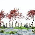 arbor red maple landscape landscaping tree feather maple stone tingbu moss micro terrain 3d model