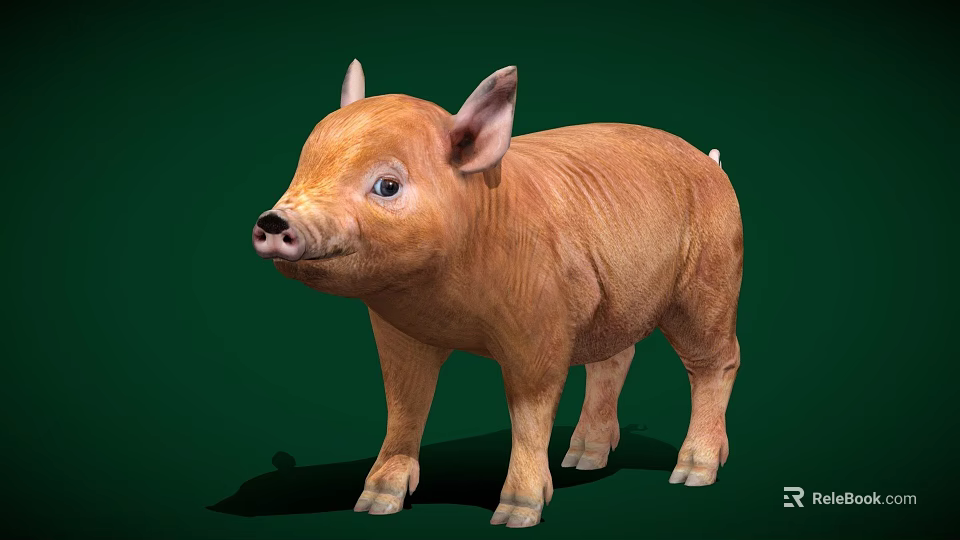 Adorable Brown Piglet Standing On Green Background With Soft Fur And Big Ears 3d model 