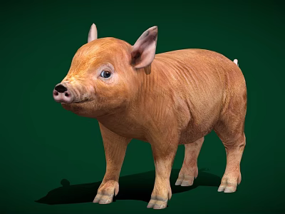 The Modern Piggy 3d model