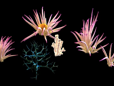 Vibrant Pink and Blue Anemones and Corals as Marine Aquatic Animals 3d model