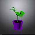Green Potted Plant With Vibrant Leaves In Purple Flower Pot On Gray Background
