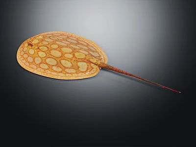 Spotted Yellow Stingray With Flat Body And Long Tail On Dark Background 3d model