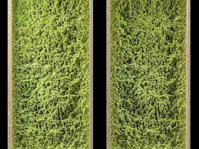 Vertical Living Plant Wall With Natural Green Moss Covered Surface And Wooden Frame 3d model