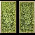Vertical Living Plant Wall With Natural Green Moss Covered Surface And Wooden Frame