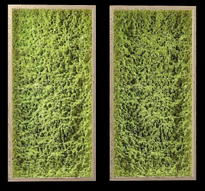 Vertical Living Plant Wall With Natural Green Moss Covered Surface And Wooden Frame 3d model