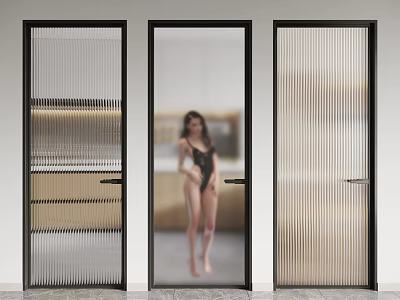 Modern Interior Door Design With Black Frame Frosted Striped Glass And Transparent Panel 3d model