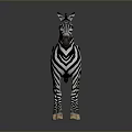 Realistic 3D Zebra Character With Black And White Stripes Standing On Dark Background