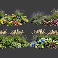 Diverse Plant Combinations With Purple Flowers Blue Blooms Green Foliage And Herbaceous Plants