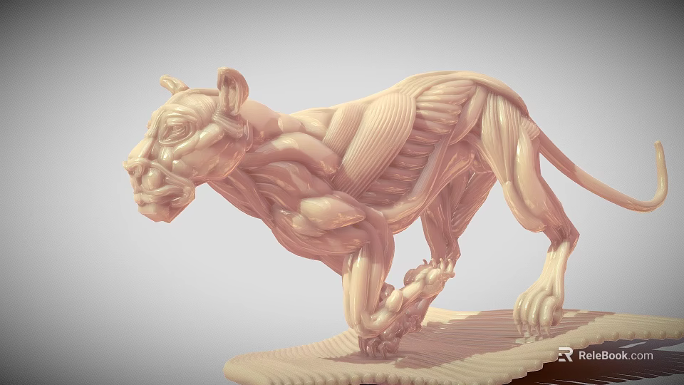 3D Rendered Muscular Lion Anatomy Model Showing Detailed Anatomical Muscle Structure 3d model 