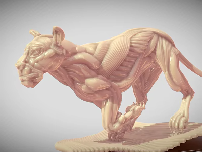 3D Rendered Muscular Lion Anatomy Model Showing Detailed Anatomical Muscle Structure 3d model