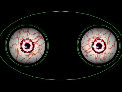 Human Eyes Displaying Detailed Vascular Texture With Green Outline Against Black Background 3d model