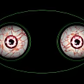 Human Eyes Displaying Detailed Vascular Texture With Green Outline Against Black Background