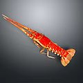 Vibrant Red Lobster Displaying Long Antennae and Segmented Body as Marine Aquatic Animal