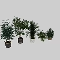 Decorative Ornament Set Featuring Assorted Green Plants In Modern Marble Planters