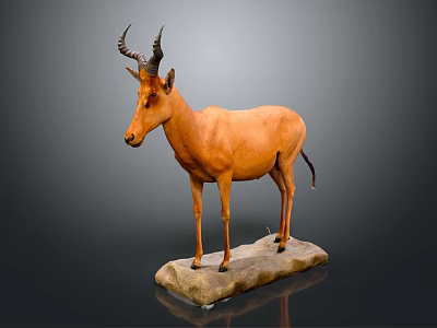 Life Size Taxidermy Antelope Mounted On Stone Base Against Gray Background 3d model