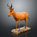 Life Size Taxidermy Antelope Mounted On Stone Base Against Gray Background