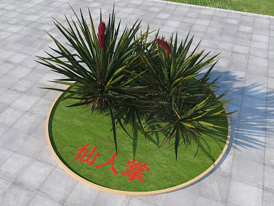 Cactus Plants On Round Green Lawn With Long Leaves Red Flowers And Stone Pavement 3d model