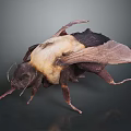 Highly Detailed 3D Bee Model With Realistic Wings And Textured Body