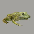 Green Reptile 3D Model Displaying Lifelike Skin Texture And Prominent Eyes