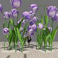 Photo Check In Spot With Purple Tulips Green Stems And Leaves On Wooden Floor