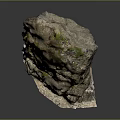 Natural Wood Stone with Moss Covered Rough Surface and Natural Rock Texture