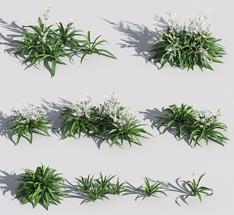 Modern Plant New Zealand Rock Lily 3d model