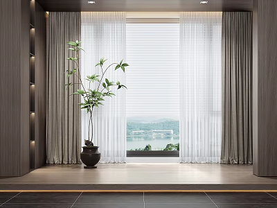 Modern Minimalist Window Curtains With Sheer Panels Drapes Green Plant And Outside View 3d model