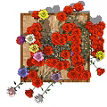 Vibrant Colorful Roses in Wooden Tray with Green Leaves for Garden Decor