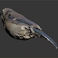 Detailed Colorful Bird With Blue Feathers Brown Body On Dark Reflective Surface