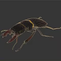 Detailed Realistic Beetle with Red Mandibles and Yellow Stripe on Dark Background