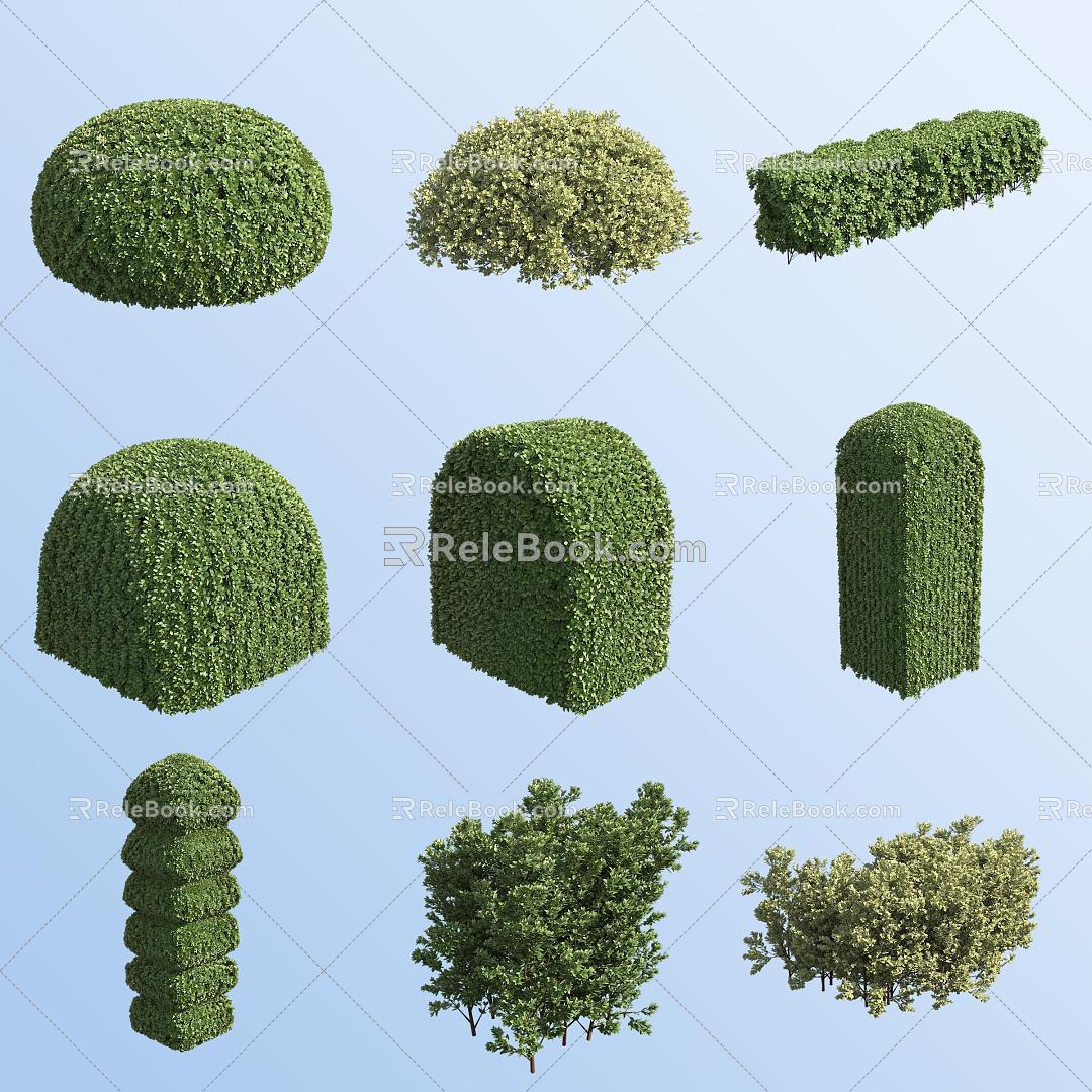 Boxwood Garden Shrubs 3d model